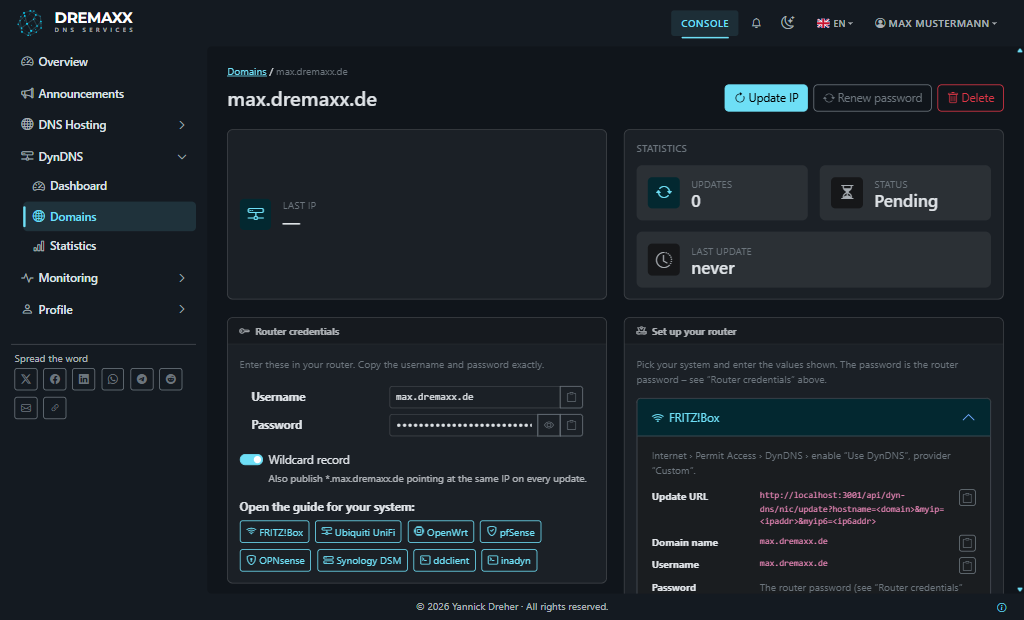 Die Domain-Detailseite eines frischen Eintrags mit Router-Zugangsdaten und Status „Pending“